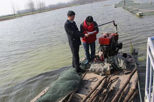 固鎮縣畜牧獸醫水產局開展冬季安全生產檢查 筑牢畜牧漁業飼料銷售安全防線