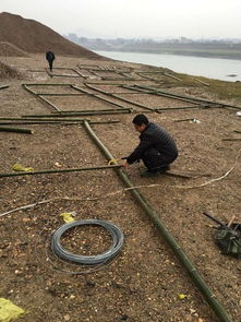 中國漁業(yè)政務(wù)網(wǎng) 畜牧漁業(yè)飼料銷售與管理的數(shù)字化平臺
