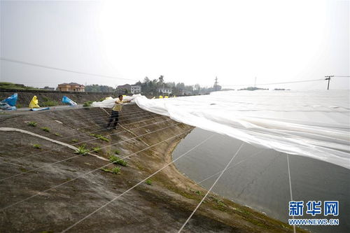 疏通產(chǎn)業(yè)鏈堵點(diǎn)，保障“菜籃子”供應(yīng)——重慶養(yǎng)殖大區(qū)力促養(yǎng)殖業(yè)補(bǔ)損復(fù)產(chǎn)與飼料銷售暢通