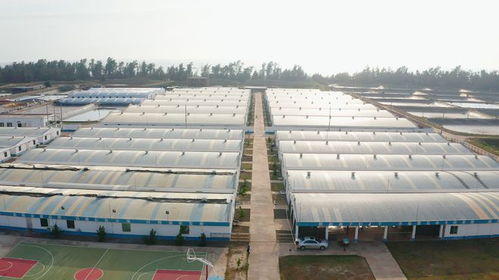 年銷售額達(dá)1.2億元，海威科技以創(chuàng)新引擎驅(qū)動(dòng)水產(chǎn)種業(yè)振興